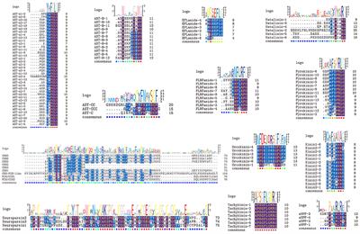 Identification of Peptides and Their GPCRs in the Peppermint Shrimp Lysmata vittata, a Protandric Simultaneous Hermaphrodite Species